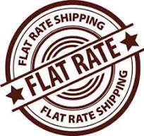 Flat Rate 595 - Business Delivery - SPSI Inc.